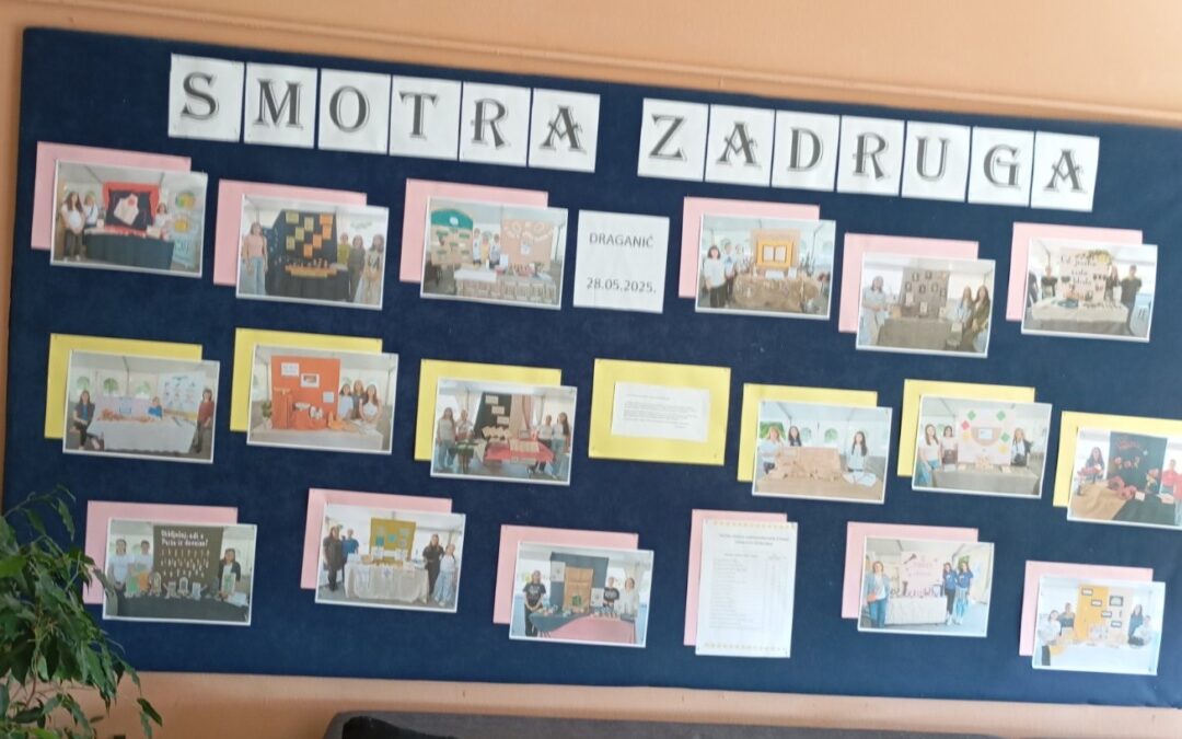 Smotra zadruga na panou