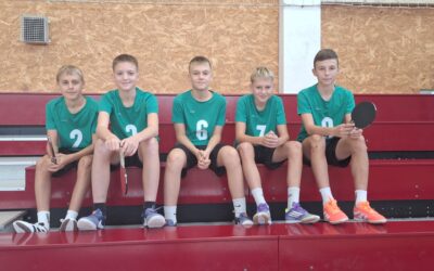 Županijsko natjecanje iz stolnog tenisa