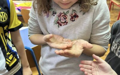 Druženje s paličnjacima