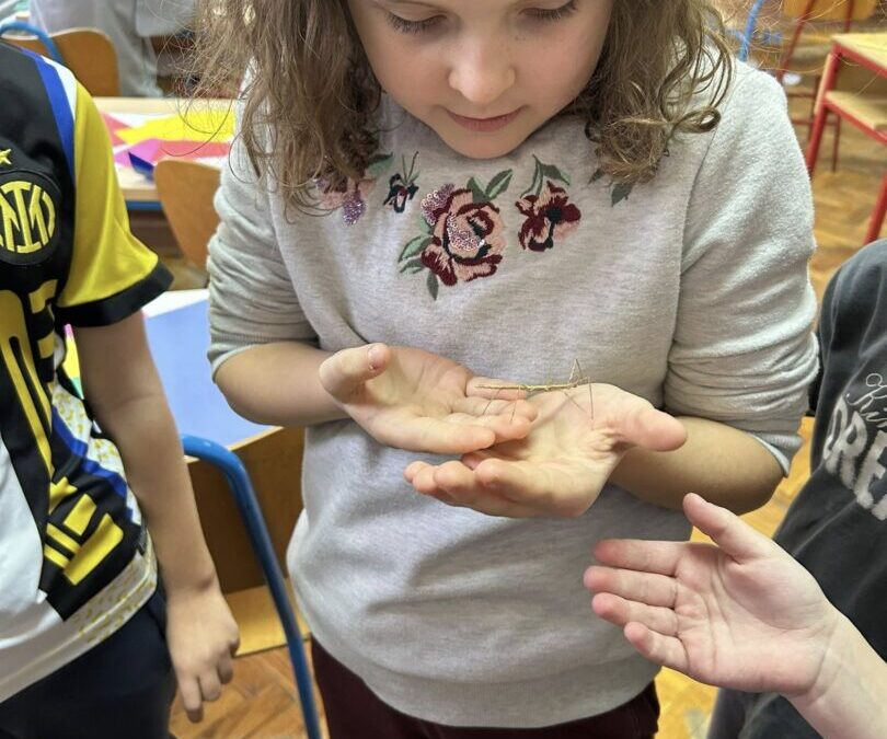 Druženje s paličnjacima