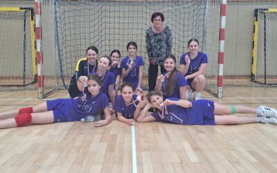 Županijsko natjecanje u rukometu