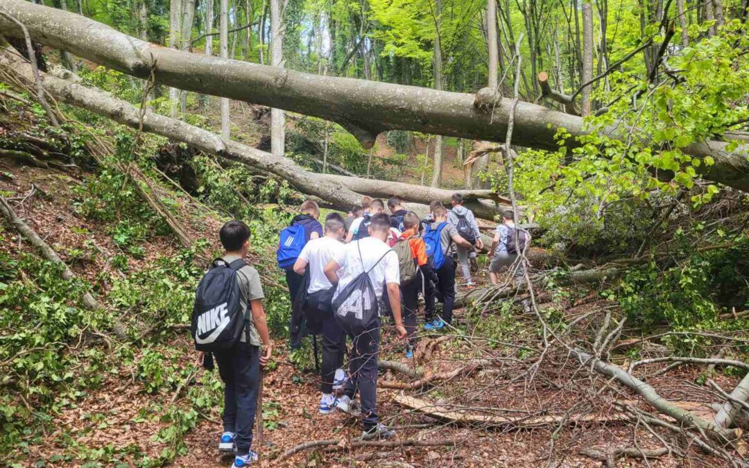 Putovanje Malih planinara na Japetić