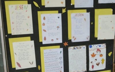 Mladi pjesnici – Literarna skupina